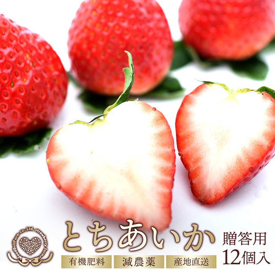 とちあいか贈答用12個 - 栃木県真岡市産の贈答用いちご・とち