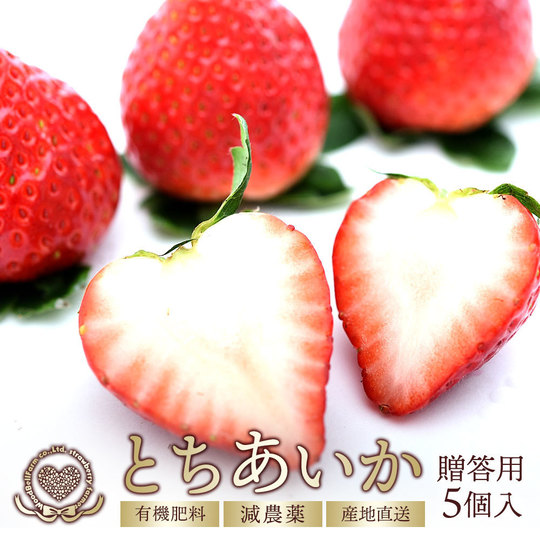 とちあいか贈答用5個 - 栃木県真岡市産の贈答用いちご・とち